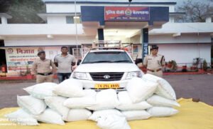 सब्जियों के बीच छिपाकर गांजा तस्करी; 24 लाख का गांजा जब्त, पिकअप छोड़ भागे आरोपी Chhattisgarh Crimes