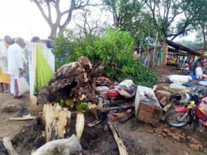 आंधी तूफान से गिरा आम का पेड़, दबने से पति-पत्नी की मौत Chhattisgarh Crimes