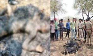 Chhattisgarh Crimes