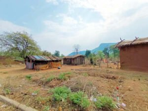 प्रकृति की गोद में बसे ग्राम ढूंनढूंनीपानी में कमार जनजाति के लोग कर रहें जिंदगी की जद्दोजहद Chhattisgarh Crimes