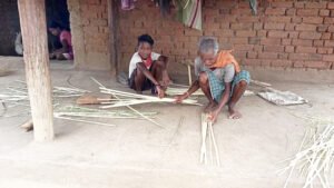 प्रकृति की गोद में बसे ग्राम ढूंनढूंनीपानी में कमार जनजाति के लोग कर रहें जिंदगी की जद्दोजहद Chhattisgarh Crimes