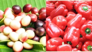 लाल रंग की ये 4 चीजें किडनी को हेल्दी रखने के हैं सस्ते उपाय, खूब खाएं गुर्दों को बीमारियों से बचाएं Chhattisgarh Crimes