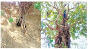 मां ने अपनी 5 दिन की बच्ची के साथ फांसी लगाकर दे दी जान Chhattisgarh Crimes