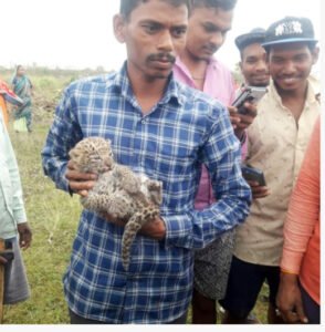 Chhattisgarh Crimes