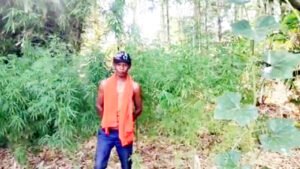 Chhattisgarh Crimes