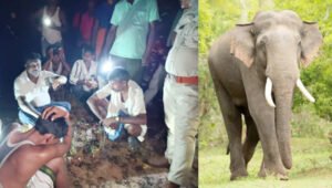 Chhattisgarh Crimes