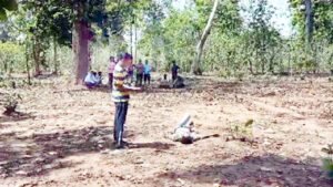 Chhattisgarh Crimes