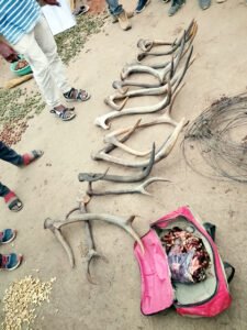 Chhattisgarh Crimes