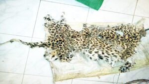 Chhattisgarh Crimes