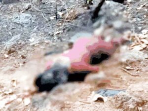 3 दिन से लापता युवती की जंगल में मिली लहूलुहान लाश Chhattisgarh Crimes