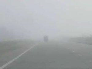 छत्तीसगढ़ के कई जिलों में कोहरे की चादर, सुबह-शाम गुलाबी ठंड का एहसास Chhattisgarh Crimes