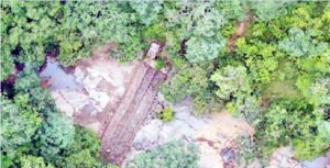 ऑस्ट्रेलिया और न्यूजीलैंड के तर्ज पर अब उदंती टाईगर रिजर्व की होगी सुरक्षा Chhattisgarh Crimes