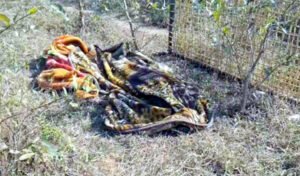 पति ने पत्नी को उतारा मौत के घाट Chhattisgarh Crimes