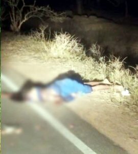 जंगली हाथियों ने मुख्य सड़क पर राहगीर महिला को उतारा मौत के घाट Chhattisgarh Crimes