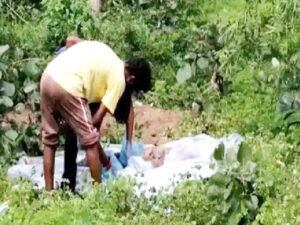 Chhattisgarh Crimes