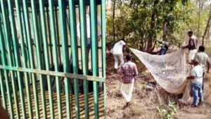 Chhattisgarh Crimes