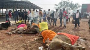 Chhattisgarh Crimes