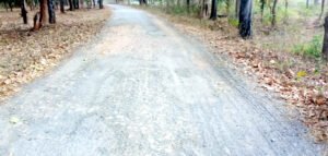 Chhattisgarh Crimes