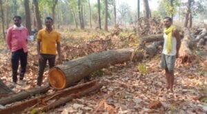 Chhattisgarh Crimes