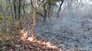 Chhattisgarh Crimes