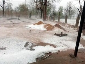 Chhattisgarh Crimes