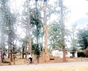 Chhattisgarh Crimes