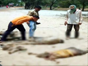 Chhattisgarh Crimes