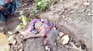 महुआ बीनने गई महिला को हाथी ने कुचल कर उतारा मौत के घाट Chhattisgarh Crimes