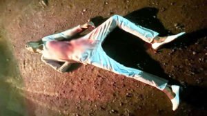Chhattisgarh Crimes