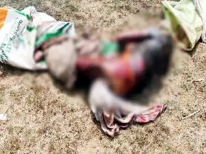 Chhattisgarh Crimes