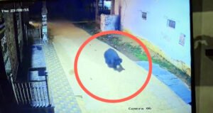 Chhattisgarh Crimes