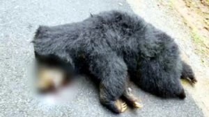 Chhattisgarh Crimes