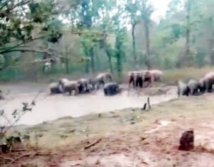 Chhattisgarh Crimes