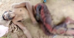 जंगली सूअर के हमले से तेंदूपत्ता संग्राहक की मौत Chhattisgarh Crimes