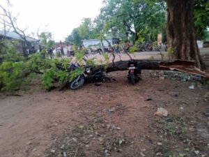 Chhattisgarh Crimes
