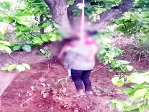 Chhattisgarh Crimes