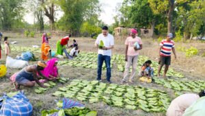 Chhattisgarh Crimes