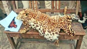 Chhattisgarh Crimes