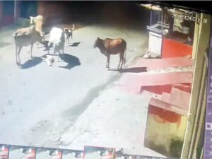 Chhattisgarh Crimes