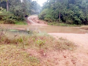 Chhattisgarh Crimes