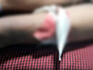 Chhattisgarh Crimes