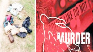 Chhattisgarh Crimes