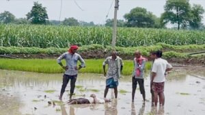 Chhattisgarh Crimes