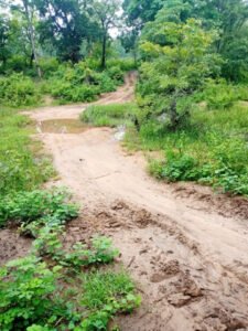 Chhattisgarh Crimes