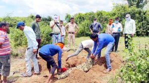 Chhattisgarh Crimes