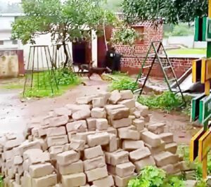 स्कूल में घुसा भालू, मचा हड़कंप, कुत्तों ने खदेड़ा Chhattisgarh Crimes