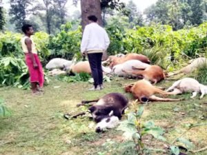 Chhattisgarh Crimes