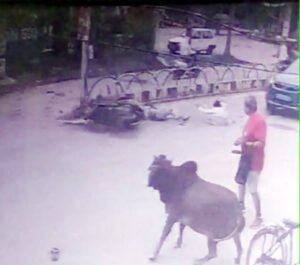 Chhattisgarh Crimes