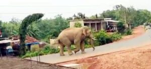 Chhattisgarh Crimes