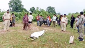 Chhattisgarh Crimes
